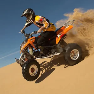 Morning Safari With Quad Bike