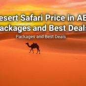 Dubai Desert Safari Price in AED 2026: Packages and Best Deals